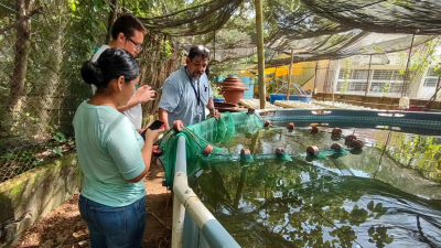 Estudiante UNACH culmina exitosamente investigación de Verano Delfín en Tabasco